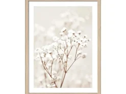 Pro Art Bild Framed Art Dried Fiber in the wind III 40 cm x 30 cm* Bilder