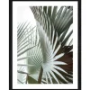 Pro Art Bild Framed Art Jungle Leaves III 40 cm x 30 cm* Bilder