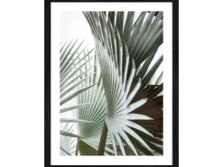 Pro Art Bild Framed Art Jungle Leaves III 40 cm x 30 cm* Bilder
