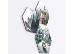 Pro Art Bildkacheln Cut-Out Forest Lake Atmosphere 3 Stk. 50 cm x 50 cm* Bilder