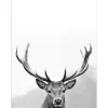 Pro Art Dekopanel Grey Deer Head III 40 cm x 30 cm* Bilder