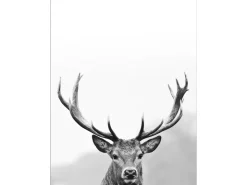 Pro Art Dekopanel Grey Deer Head III 40 cm x 30 cm* Bilder