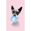 Pro Art Dekopanel Hund Chewing Gum 30 cm x 15 cm