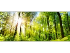 Pro Art Pro-Art Glasbild Towards the Sun 50 cm x 125 cm x 1,4 cm