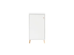 PROREGAL Aktenschrank Jaguar Small HxBxT 92,6 x 51 x 41 cm 2 Fächern & 1 Flügeltür