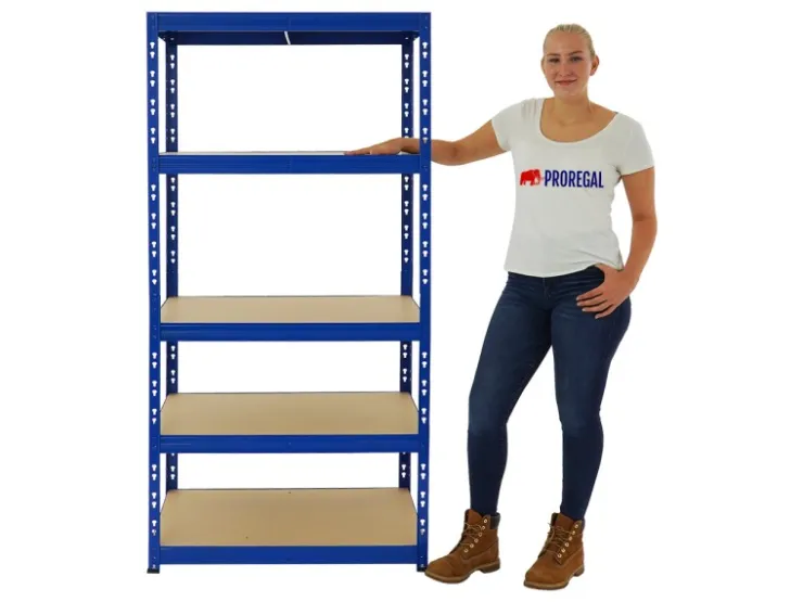 PROREGAL Schwerlastregal Tiger HxBxT 180 x 90 x 60 cm Fachlast 265 kg 5-Ebenen* Metallregale|Kellerregale