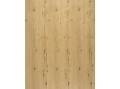 Regalboden Eiche Astig 120 cm x 30 cm x 1,6 cm* Regalsysteme