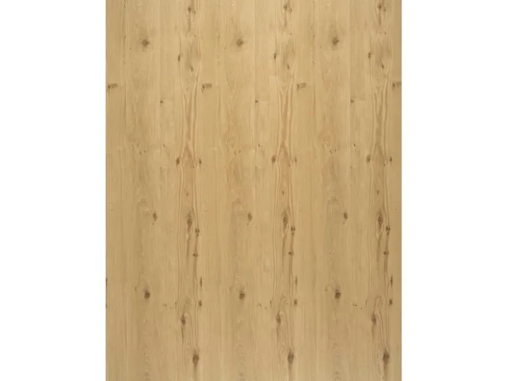 Regalboden Eiche Astig 120 cm x 50 cm x 1,6 cm* Kellerregale