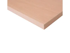 Regalbrett 80 cm x 30 cm x 1,6 cm