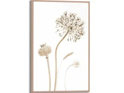 Reinders Gerahmtes Bild Trockenblumen für Wohnzimmer 30 cm x 20 cm Beige