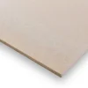 Rigips Rigidur Gipsfaserplatte 12,5 mm x 1500 mm x 1000 mm vorgrundiert* Deckenplatten