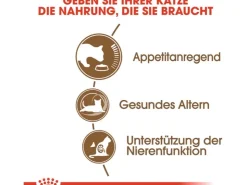 Royal Canin Ageing 12+ Trockenfutter für ältere Katzen 2 kg