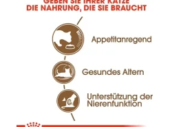 Royal Canin Ageing 12+ Trockenfutter für ältere Katzen 0,4 kg