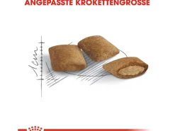 Royal Canin Ageing 12+ Trockenfutter für ältere Katzen 0,4 kg