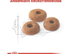 Royal Canin Fit Trockenfutter für aktive Katzen 2 kg* Katzenbedarf