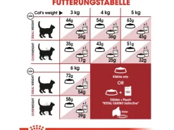 Royal Canin Fit Trockenfutter für aktive Katzen 2 kg* Katzenbedarf