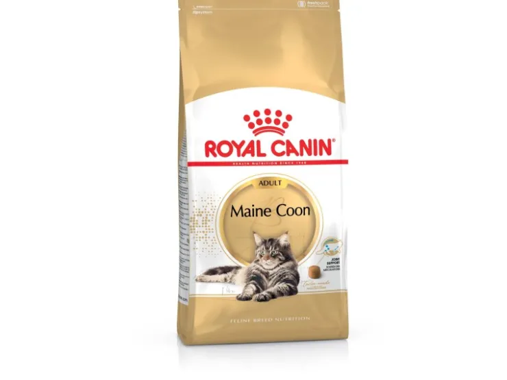 Royal Canin Maine Coon Adult Katzenfutter Trocken 10 kg* Katzenbedarf