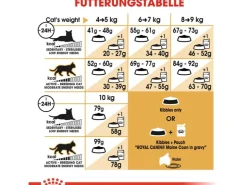 Royal Canin Maine Coon Adult Katzenfutter Trocken 10 kg* Katzenbedarf
