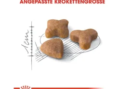 Royal Canin Sensible Trockenfutter Sensible Katzen 4 kg* Katzenbedarf