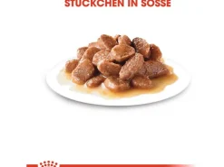 Royal Canin Urinary Care Katzenfutter Nass Gesunde Harnwege 85 g* Katzenbedarf