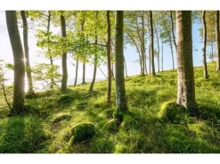 Sanders & Sanders Fototapete Landschaft Grün und Blau 450 x 280 cm 612683* Fototapeten