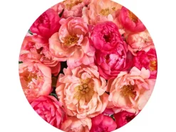 Sanders & Sanders Selbstklebende Runde Tapete Blumen Rosa Ø 125 cm 611805* Wandtattoos