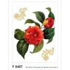 Sanders & Sanders Wandtattoo Blumen Rot und Grün 65 x 85 cm 600258* Wandtattoos