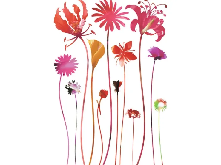 Sanders & Sanders Wandtattoo Blumen Rosa Violett und Grün 42,5 x 65 cm 600319* Wandtattoos