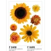 Sanders & Sanders Wandtattoo Blumen Gelb 65 x 85 cm 600251* Wandtattoos