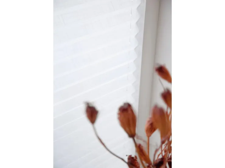 Schöner Wohnen Kollektion Schöner Wohnen Plissee Marla 60 cm x 130 cm Weiß* Rollos