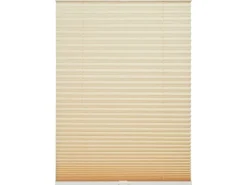 Schöner Wohnen Kollektion Schöner Wohnen Plissee Milla 50 cm x 130 cm