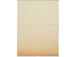 Schöner Wohnen Kollektion Schöner Wohnen Plissee Milla 80 cm x 130 cm* Plissees