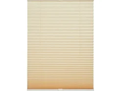 Schöner Wohnen Kollektion Schöner Wohnen Plissee Milla 70 cm x 130 cm* Plissees