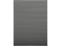 Schöner Wohnen Kollektion Schöner Wohnen Thermo-Wabenplissee Sina 80 cm x 130 cm* Plissees