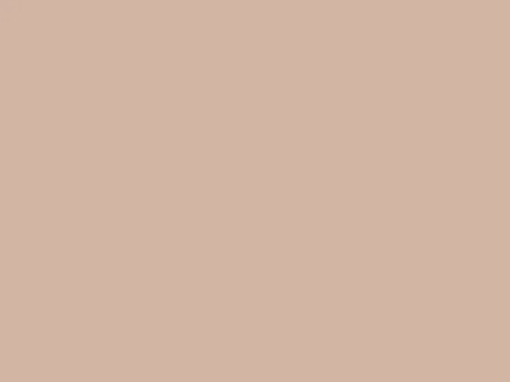 SCHÖNER WOHNEN-Farbe Schöner Wohnen Trendfarbe matt 5 l* Innenfarben|Grundierung
