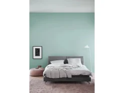 SCHÖNER WOHNEN-Farbe Schöner Wohnen Trendfarbe matt 1 l
