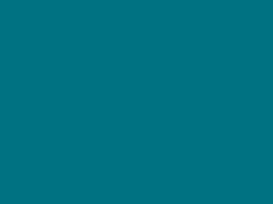 SCHÖNER WOHNEN-Farbe Schöner Wohnen Trendfarbe matt 1 l* Innenfarben