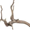 Sera Aquarien-Wurzel Scaper Root XS 18-20 cm* Terraristik