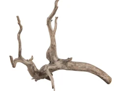 Sera Aquarien-Wurzel Scaper Root XS 18-20 cm* Terraristik