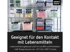 SmartStore Aufbewahrungsbox Classic mit Deckel 2 l