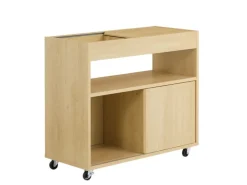 SoBuy Beistelltisch Couchtisch mit Rollen Druckertisch Aktenschrank FBT152-N* Tische