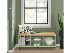 SoBuy Schuhbank mit Sitzfläche und Schiebetüren MDF Glas Grün FSR115-GR* Sitzbänke