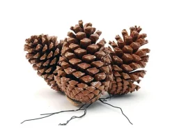 Tannenzapfen am Draht 10-14 cm Natur* Kunstpflanzen