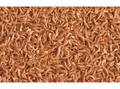 Tetra Reptilienfutter ReptoDelica Shrimps 1 l* Terraristik
