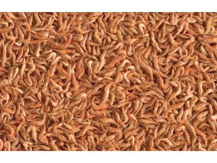 Tetra Reptilienfutter ReptoDelica Shrimps 1 l* Terraristik