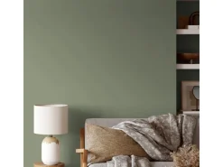 V&CO Premium-Innenfarbe Dead Flat Matt Grün Farbton 2 2,5 l* Innenfarben