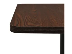 vidaXL BistRotisch Dunkle Esche 50x50x107 cm