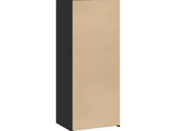 vidaXL Highboard 50x41x124 cm Holzwerkstoff 846398