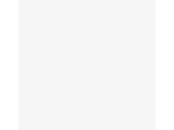 vidaXL Kleiderschrank Weiß 80x50x200 cm Holzwerkstoff* Schränke