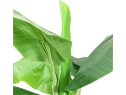 vidaXL Künstlicher Bananenbaum mit Topf 300 cm Grün* Kunstpflanzen